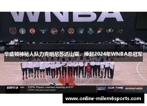 华盛顿神秘人队力克明尼苏达山猫，捧起2024年WNBA总冠军