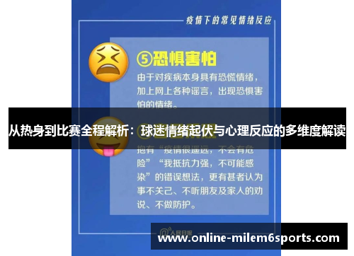 从热身到比赛全程解析：球迷情绪起伏与心理反应的多维度解读