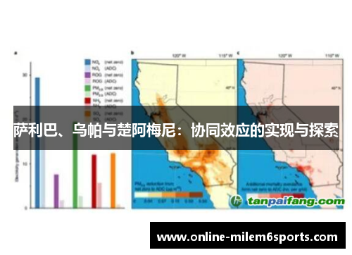 萨利巴、乌帕与楚阿梅尼：协同效应的实现与探索