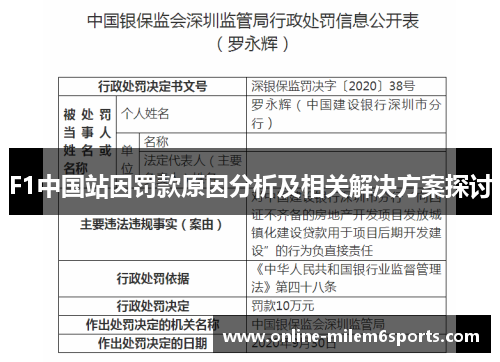 F1中国站因罚款原因分析及相关解决方案探讨