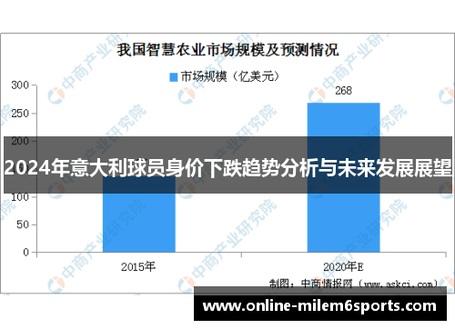 2024年意大利球员身价下跌趋势分析与未来发展展望