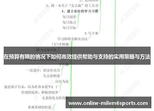 在预算有限的情况下如何高效提供帮助与支持的实用策略与方法