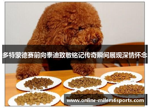 多特蒙德赛前向泰迪致敬铭记传奇瞬间展现深情怀念