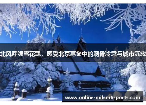 北风呼啸雪花飘，感受北京寒冬中的刺骨冷意与城市沉寂