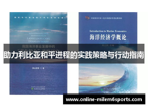 助力利比亚和平进程的实践策略与行动指南