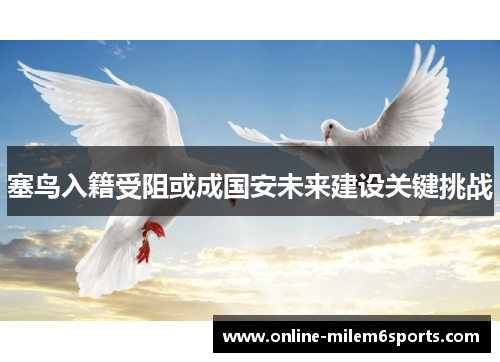 塞鸟入籍受阻或成国安未来建设关键挑战